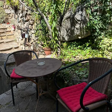 公寓 Maison De Village A Ota-porto Porto (Corsica)