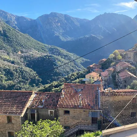 Maison De Village A Ota-porto *